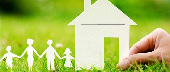 呆萌杀手萌宠猫咪图片壁纸