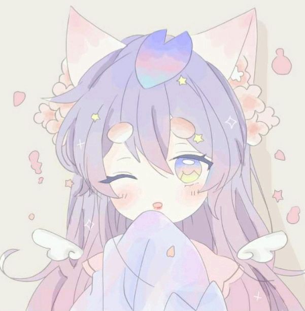 唯美意境花朵图片壁纸